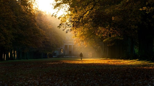 A ray of autumn sunshine shining down on the Avenue in front of Gibside Chapel
